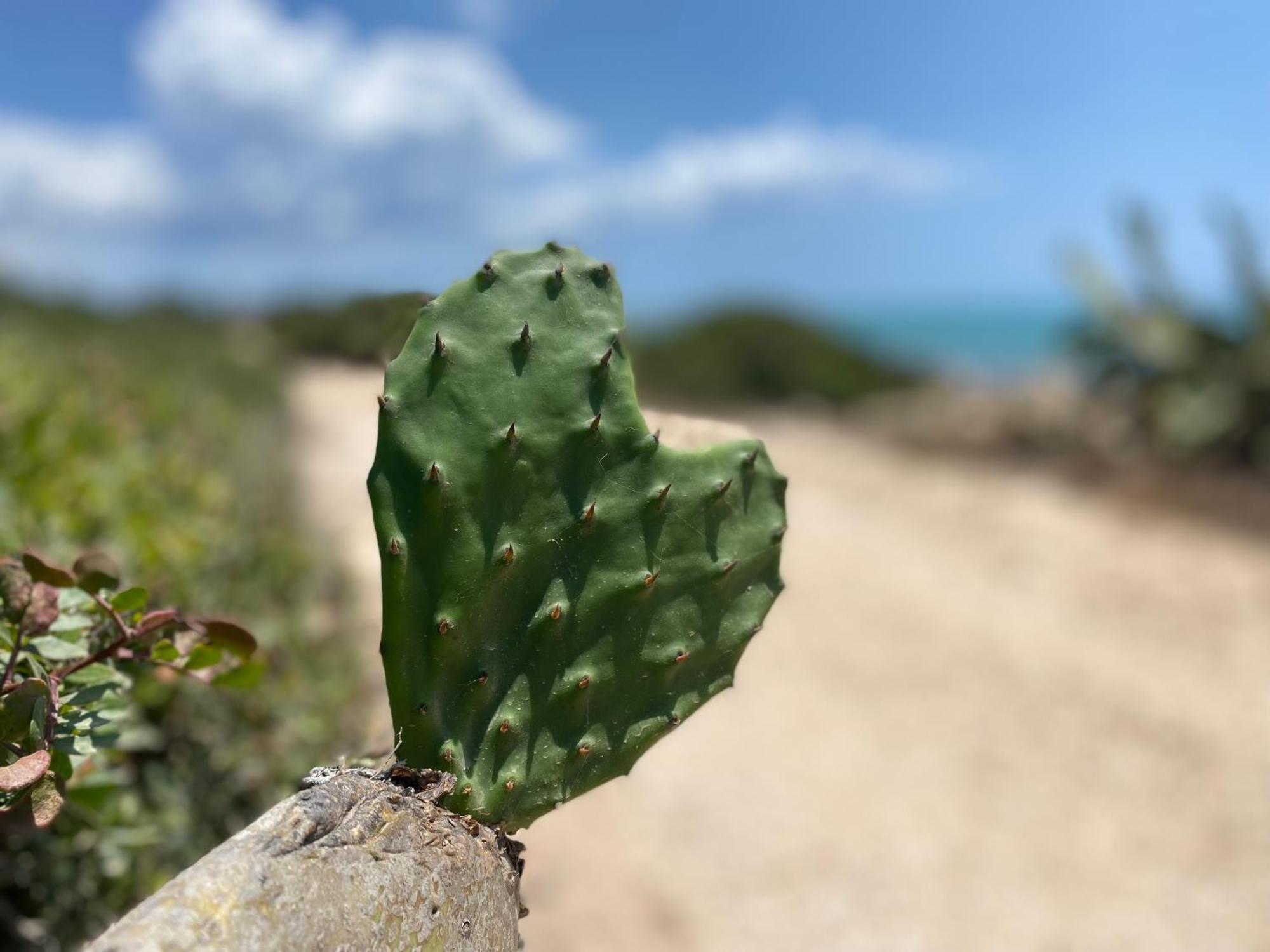 فيلا Ificumori, Campagna Ammare مارينا موديكا المظهر الخارجي الصورة
