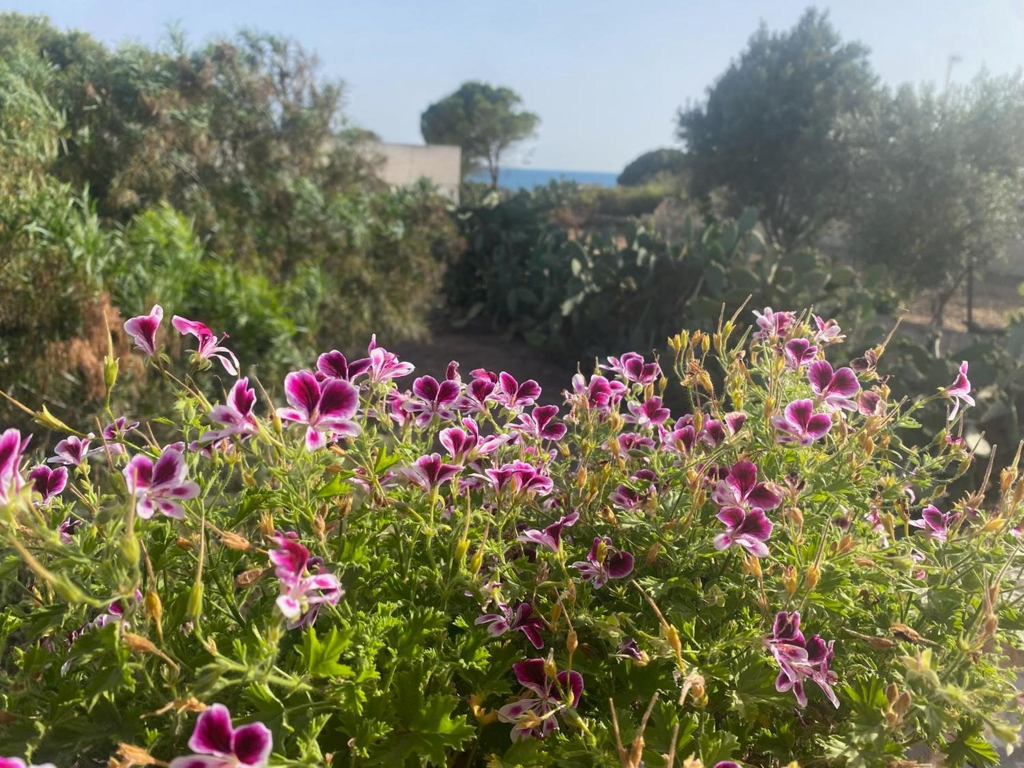 فيلا Ificumori, Campagna Ammare مارينا موديكا المظهر الخارجي الصورة