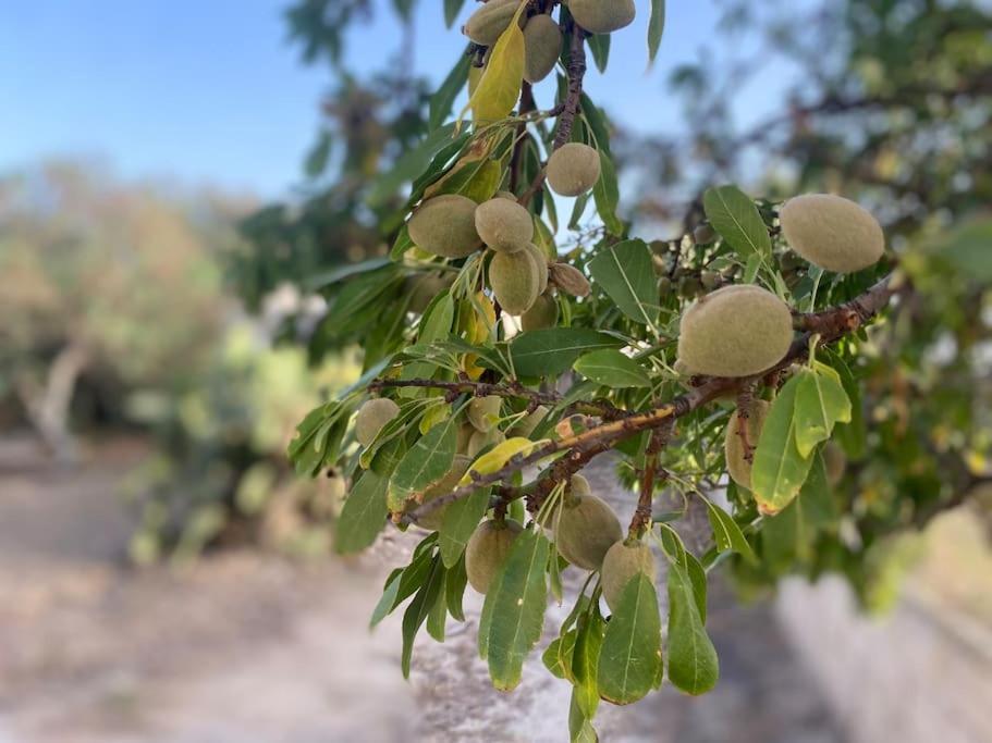 فيلا Ificumori, Campagna Ammare مارينا موديكا المظهر الخارجي الصورة