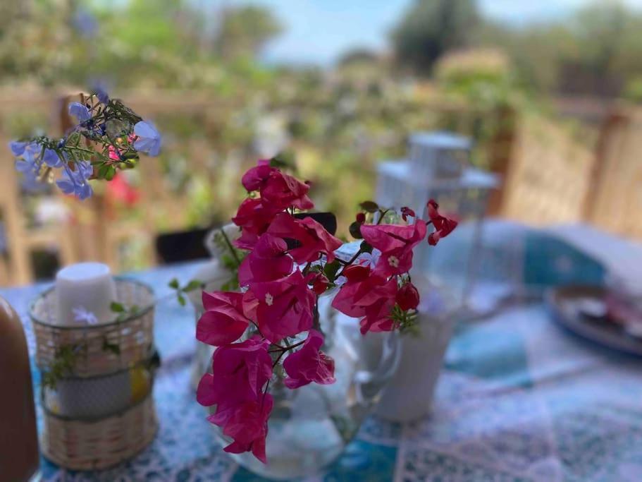 فيلا Ificumori, Campagna Ammare مارينا موديكا المظهر الخارجي الصورة