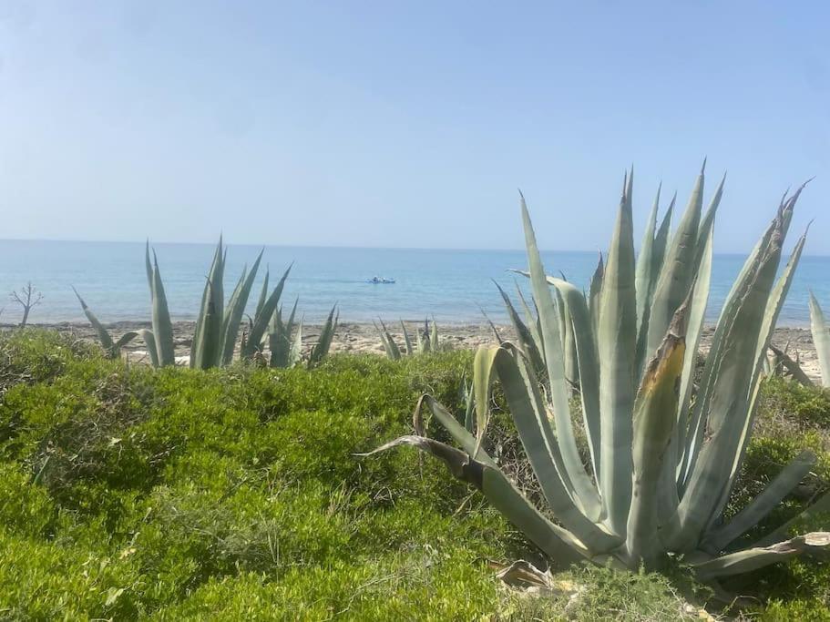 فيلا Ificumori, Campagna Ammare مارينا موديكا المظهر الخارجي الصورة
