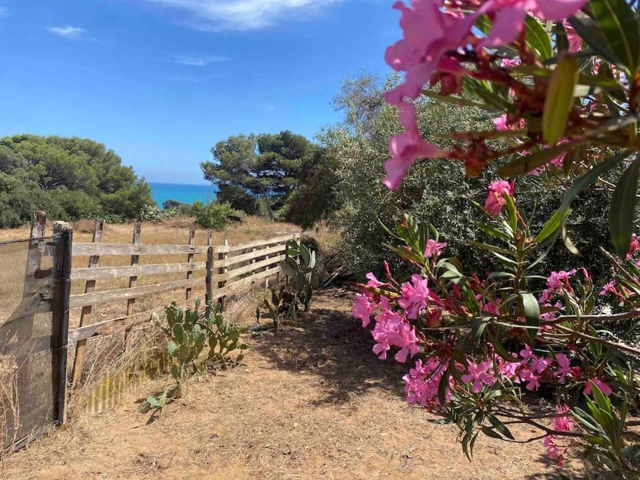 فيلا Ificumori, Campagna Ammare مارينا موديكا المظهر الخارجي الصورة